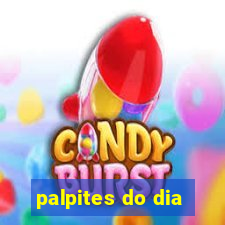 palpites do dia